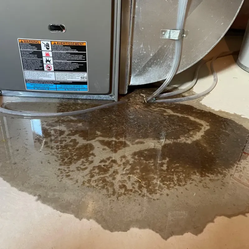 Appliance Leak Cleanup in Boswell, PA